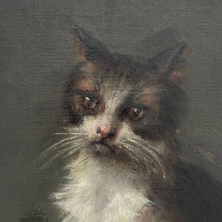 Öl auf Leinwand, Porträt einer Katze, signiert von Henriette Barry 1899