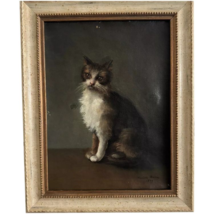 Öl auf Leinwand, Porträt einer Katze, signiert von Henriette Barry 1899