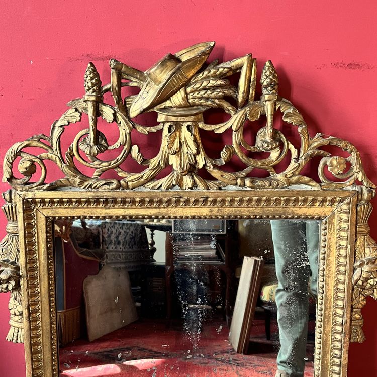 Mirror with garden attributes, Louis XVI period