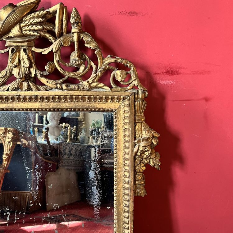 Mirror with garden attributes, Louis XVI period