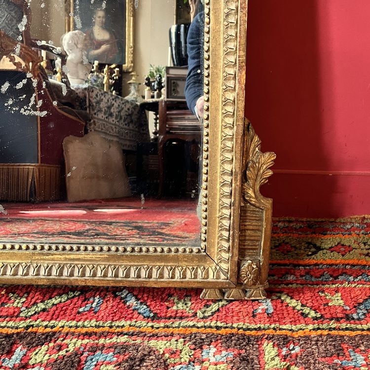 Mirror with garden attributes, Louis XVI period