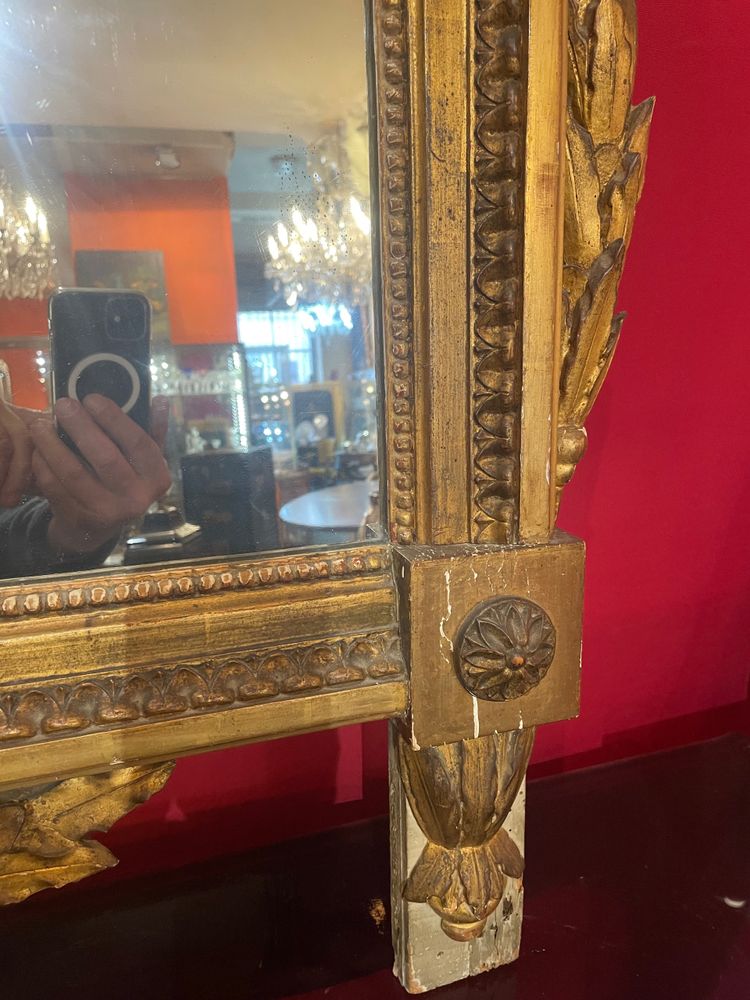 Miroir D’époque Louis XVI En Bois Doré Au Attribut De Jardinier 