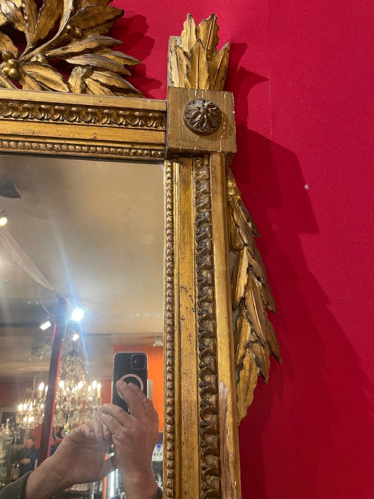 Miroir D’époque Louis XVI En Bois Doré Au Attribut De Jardinier 