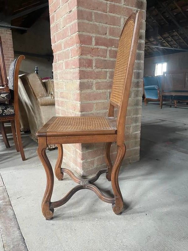 Suite of 6 Louis XIV style chairs in cannia