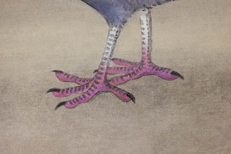 Toile peinte représentant un pigeon huppé. Contemporain. LS6340406A