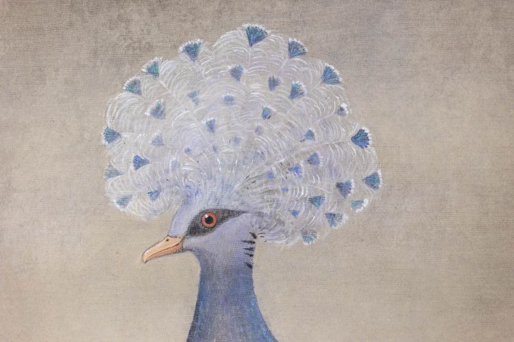 Toile peinte représentant un pigeon huppé. Contemporain. LS6340406A