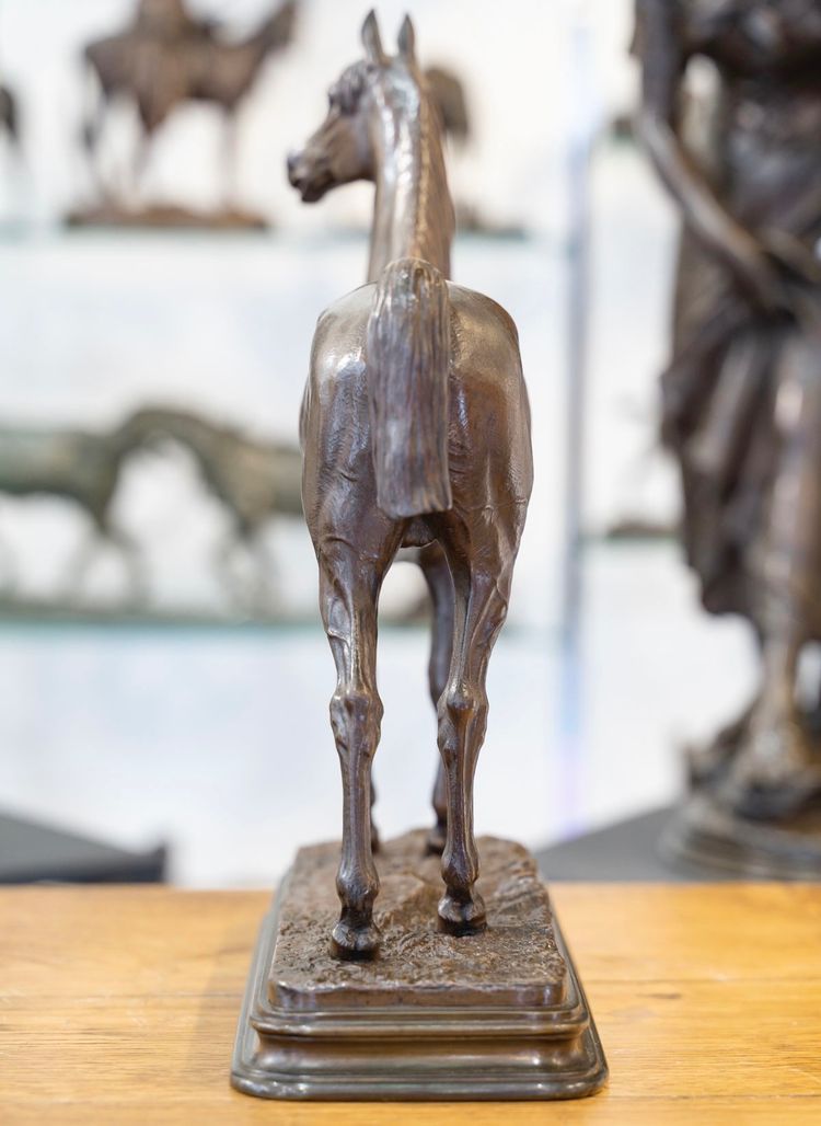 Scultura - Il cavallo di caolino, Alfred Dubucand (1828 - 1894) - Bronzo