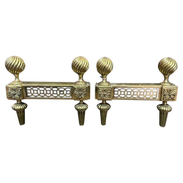 Pair of andirons - Bronze - 19th century
