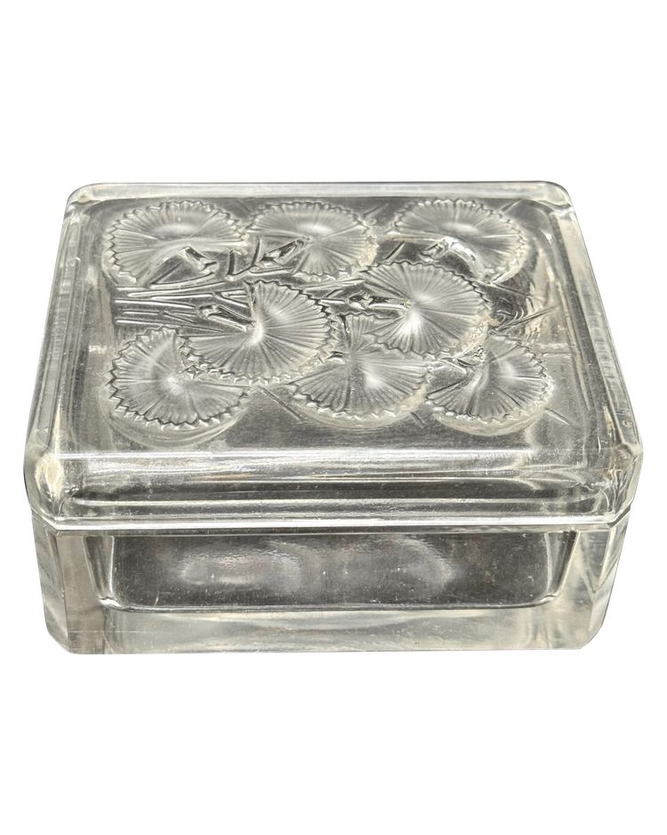 Lalique  boîte « Bleuet » 
