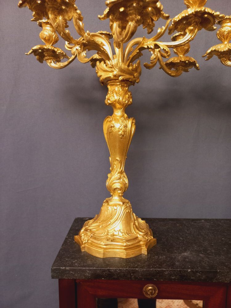 Large pair of Louis XV style candelabras in gilded and chiseled bronze