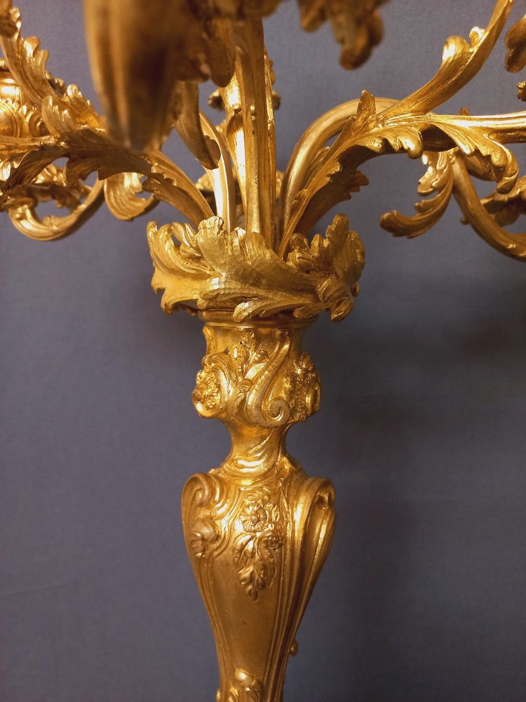 Large pair of Louis XV style candelabras in gilded and chiseled bronze