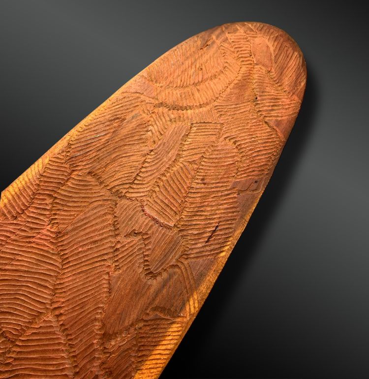 Wunda-Schild - Aborigine-Kultur, Zentralwüste, Australien - Um 1900