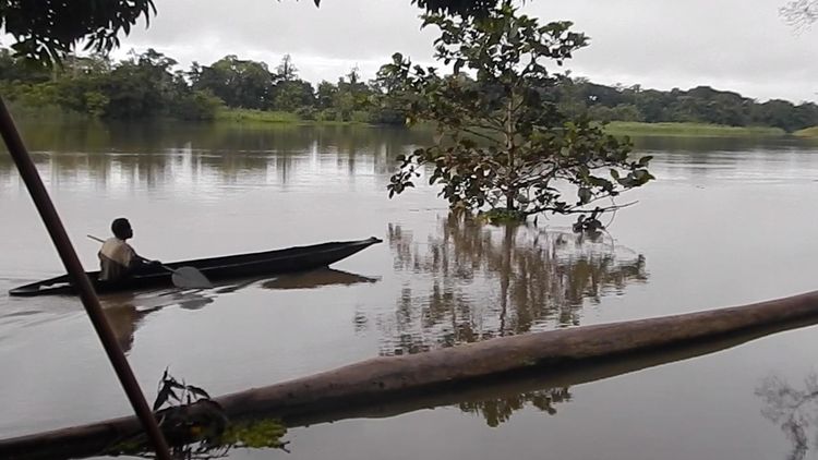 Paddle, Sepik River, Oceanic Art, Tribal Art, Oceania, Sculpture, Marine Object, Oceania