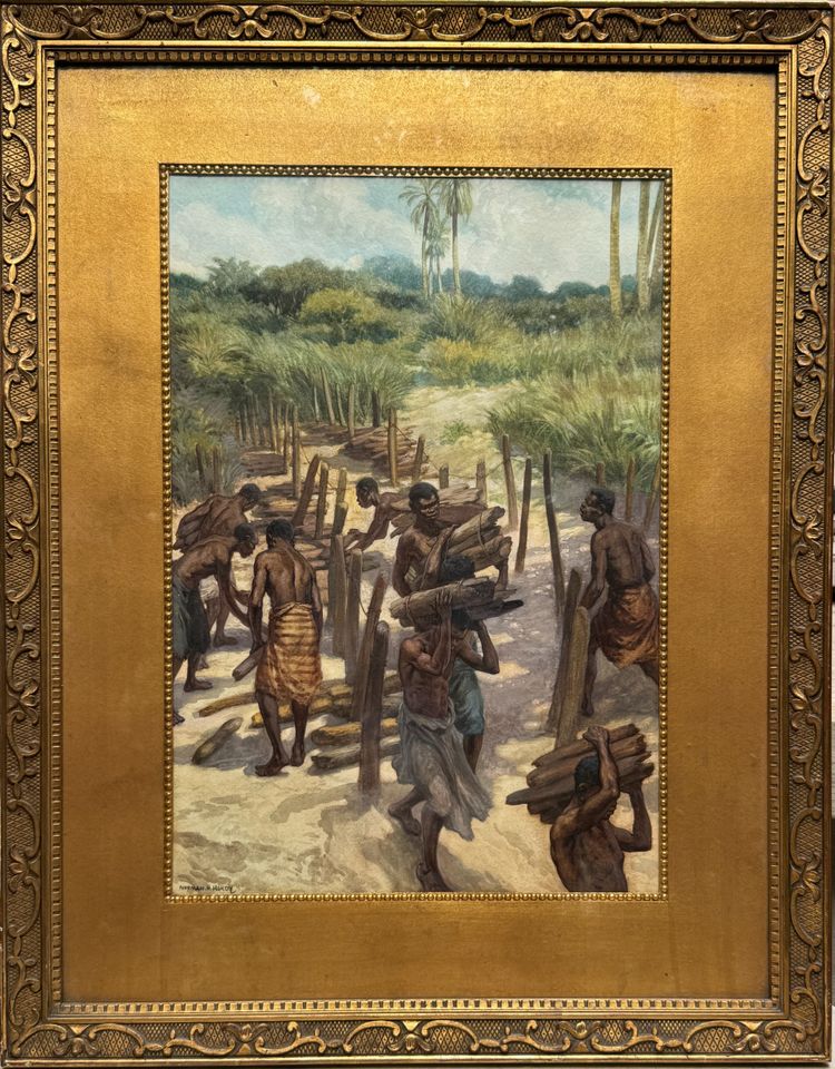 Norman H Hardy (1864-1914) - Congo, raccolta di legna da ardere, circa 1907