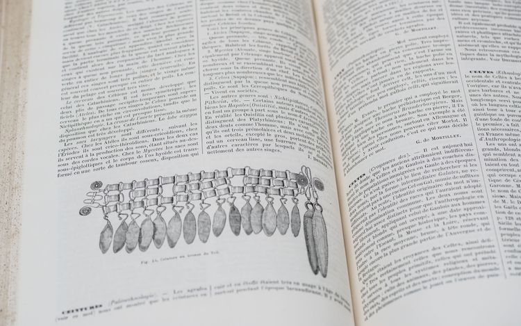 DICTIONARY OF ANTHROPOLOGICAL SCIENCES