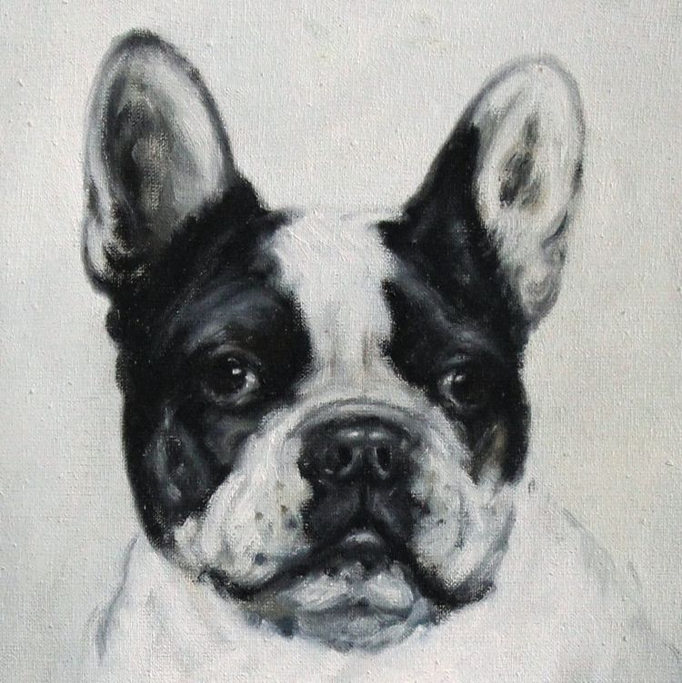 Porträt einer französischen Bulldogge, deutsches Ölgemälde auf Leinwand, frühes 20. Jahrhundert