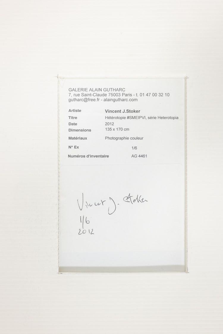 Fotografia su pellicola con una macchina fotografica a banco ottico. Opera contemporanea.