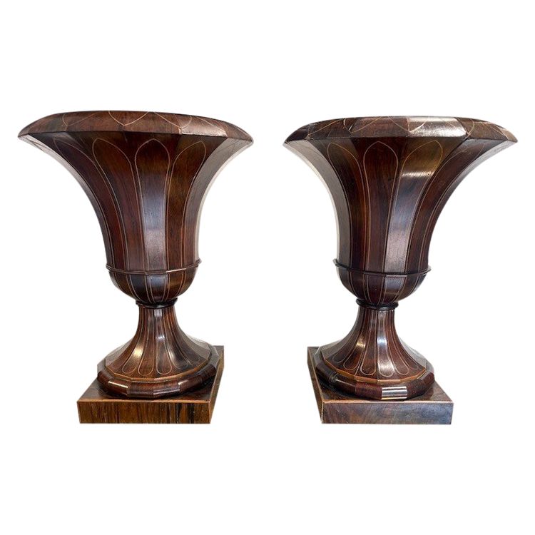 Pair Of Medici Charles X Vases 