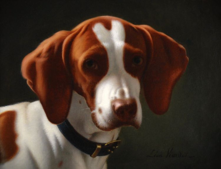 Peinture à l'huile exclusive sur toile portrait d'un chien de chasse breton 19e siècle