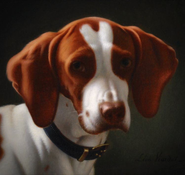 Peinture à l'huile exclusive sur toile portrait d'un chien de chasse breton 19e siècle