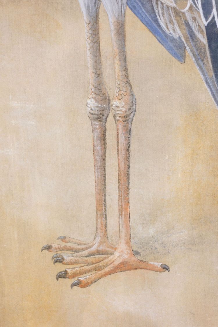 Bemalte Leinwand mit der Darstellung eines Schuhschnabels. Zeitgenössisch. LS6347908M