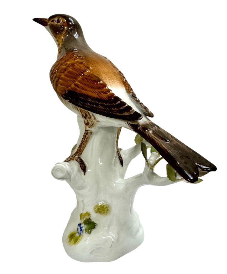 Meissen - Porcelain Figurine of a Song Thrush