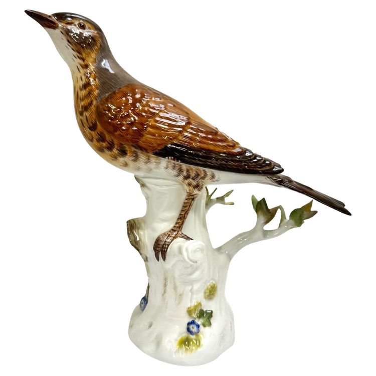 Meissen - Porcelain Figurine of a Song Thrush