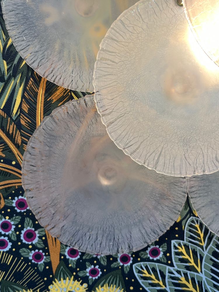 Gino VISTOSI - Paire d' Appliques (x2) en verre de Murano