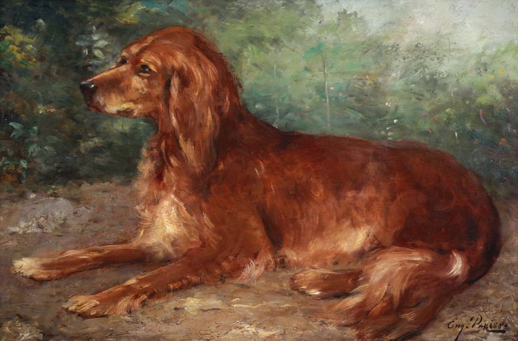 Eugène Ferdinand PARISY Ritratto di cane setter irlandese, dipinto a olio francese su tavola del XIX secolo