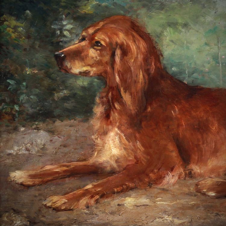 Eugène Ferdinand PARISY Ritratto di cane setter irlandese, dipinto a olio francese su tavola del XIX secolo