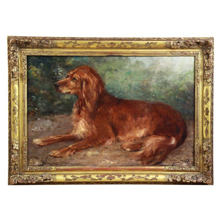 Eugène Ferdinand PARISY Ritratto di cane setter irlandese, dipinto a olio francese su tavola del XIX secolo