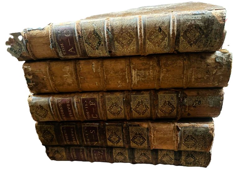 FRENCH AND LATIN Dictionary