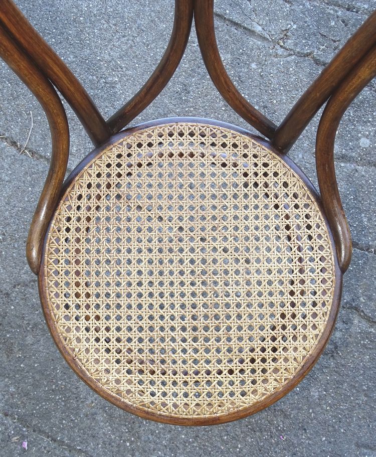 Thonet chair N°19 from 1890- bentwood - manual caning new