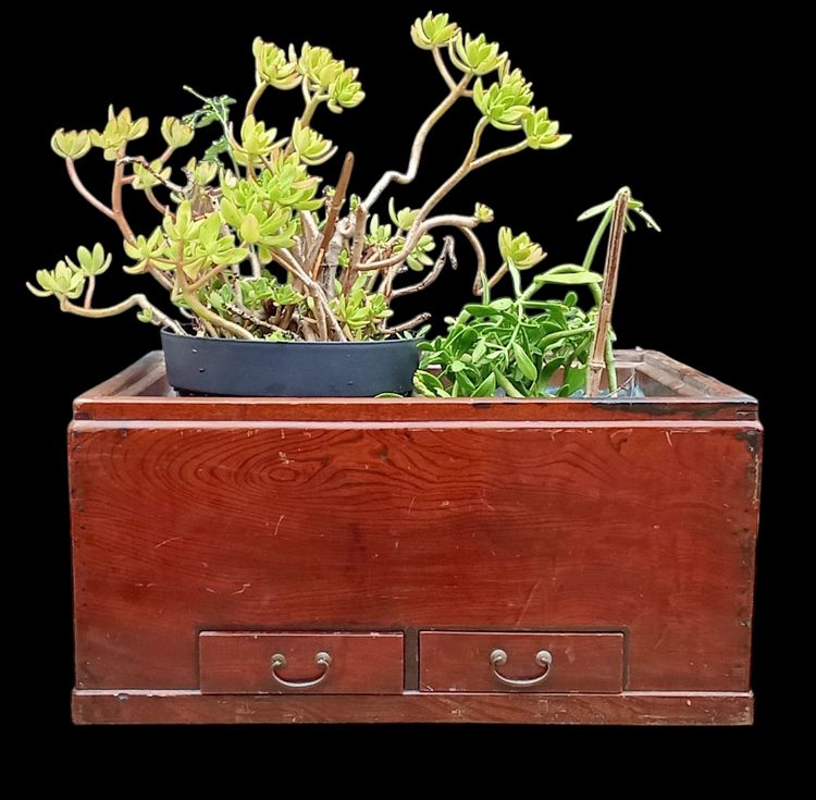 Old Japanese hibachi / indoor planter/19th century