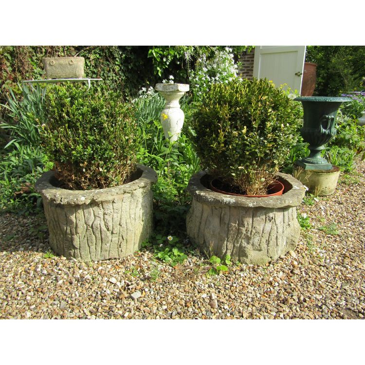 Jardinières En Ciment