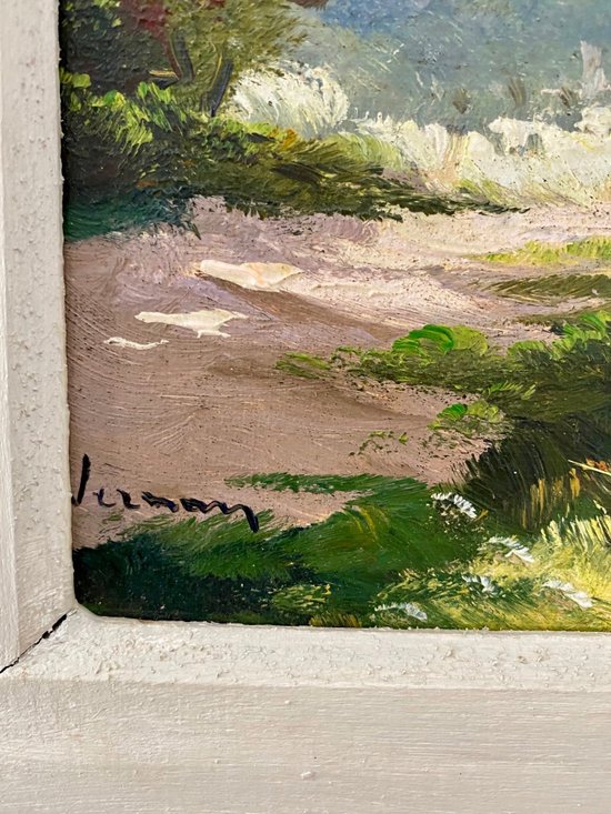 Paesaggio di montagna