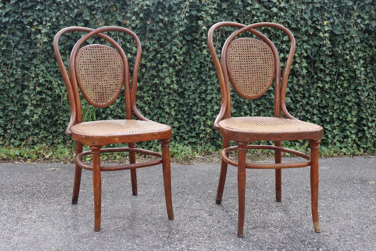 Pair De Chaises en Bois Courbé De Kohn Modèle 33