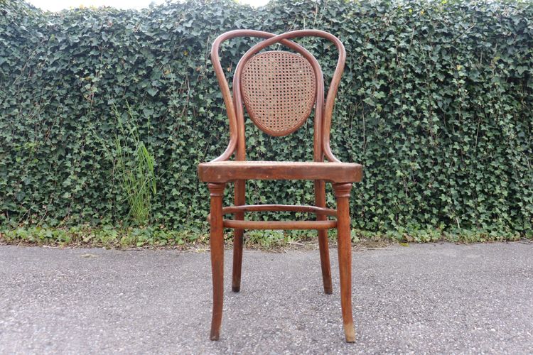 Pair De Chaises en Bois Courbé De Kohn Modèle 33