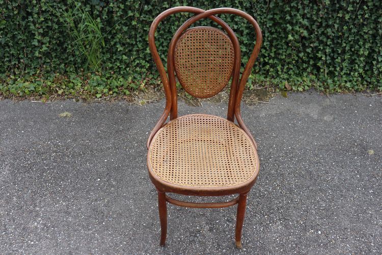 Pair De Chaises en Bois Courbé De Kohn Modèle 33