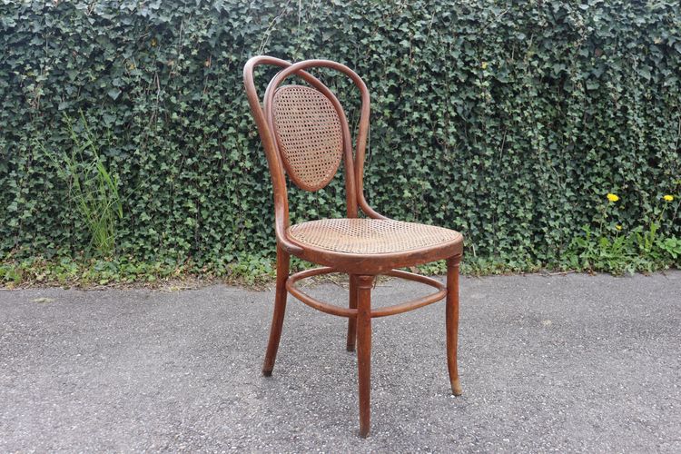 Pair De Chaises en Bois Courbé De Kohn Modèle 33