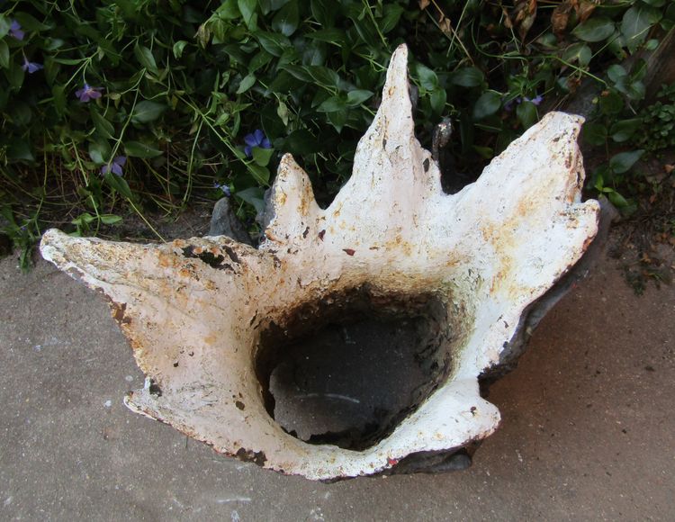 Blumenkasten