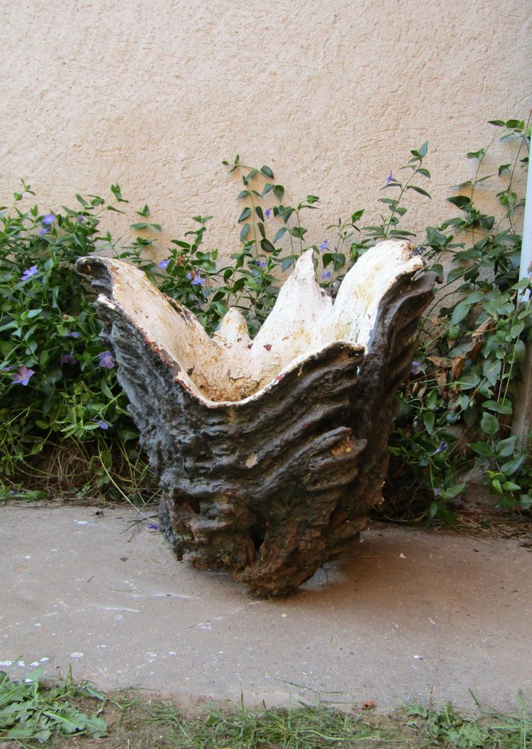 Blumenkasten