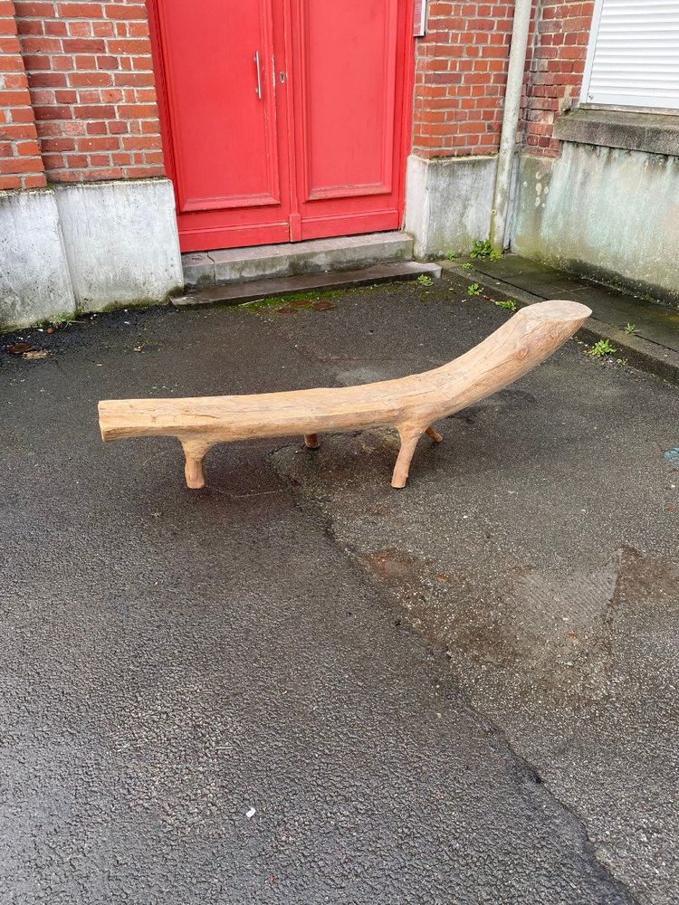 Organic Bench Made from a Carved Tree Branch, Circa 1970