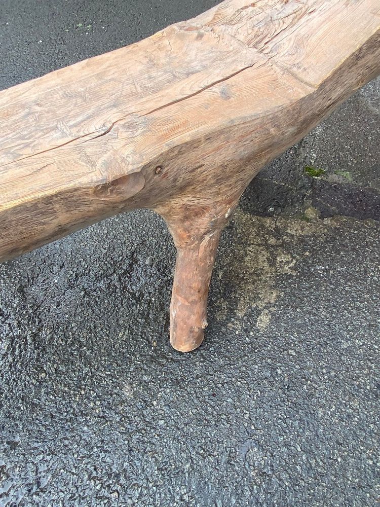 Organic Bench Made from a Carved Tree Branch, Circa 1970