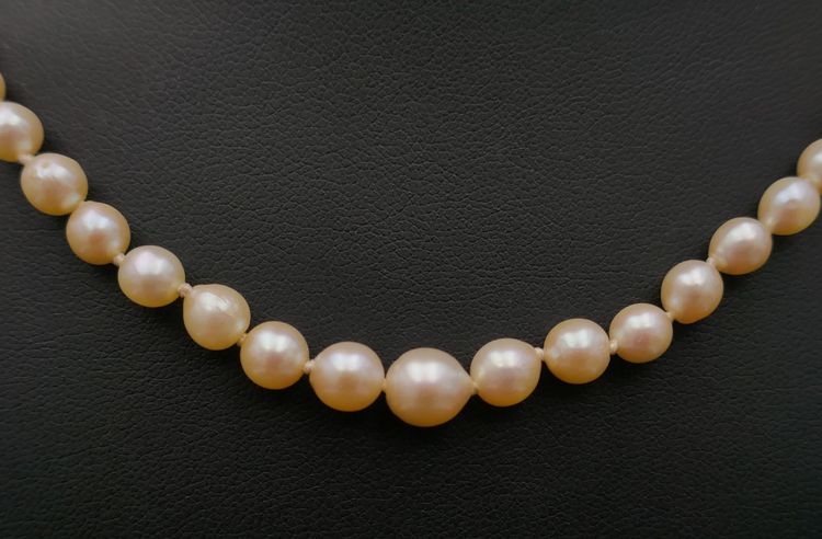 Collier De Perles De Culture En Chute, Fermoir Et Chaînette De Sécurité, 18 Carats.