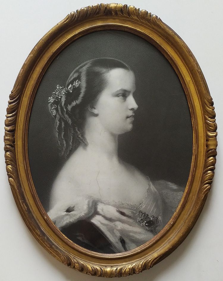 Princess Marie Clotilde Of Savoy Framed Lithograph 19th C Historical Old Print