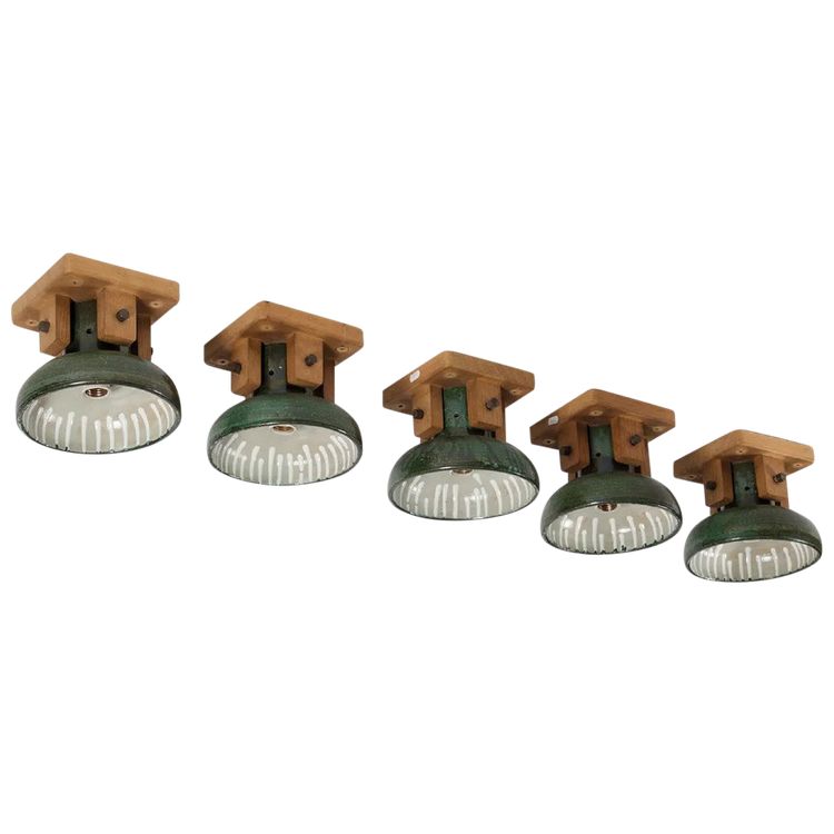 Guillerme Et Chambron , and Boleslav DANIKOWSKI Exceptional Series Of 5 Ceiling Lights