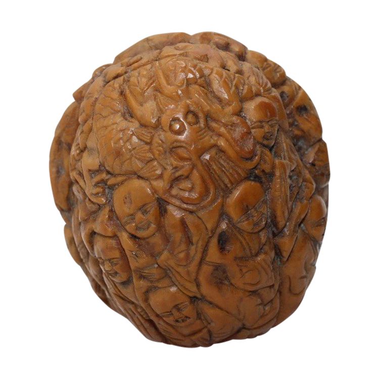 Noix Sculptée De Sage Et Dragon , Chine Fin XIX