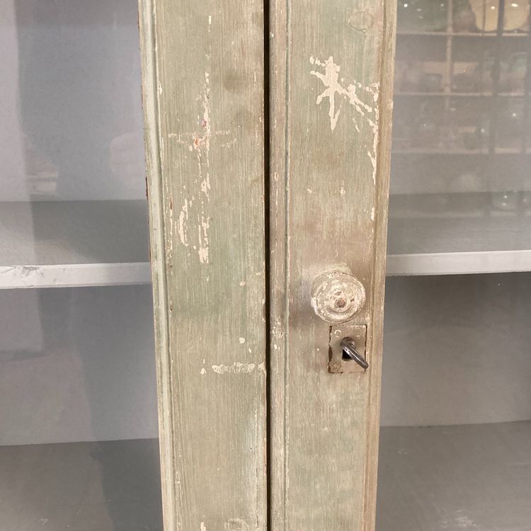Bibliothek Vitrine mit Holztäfelung XIX