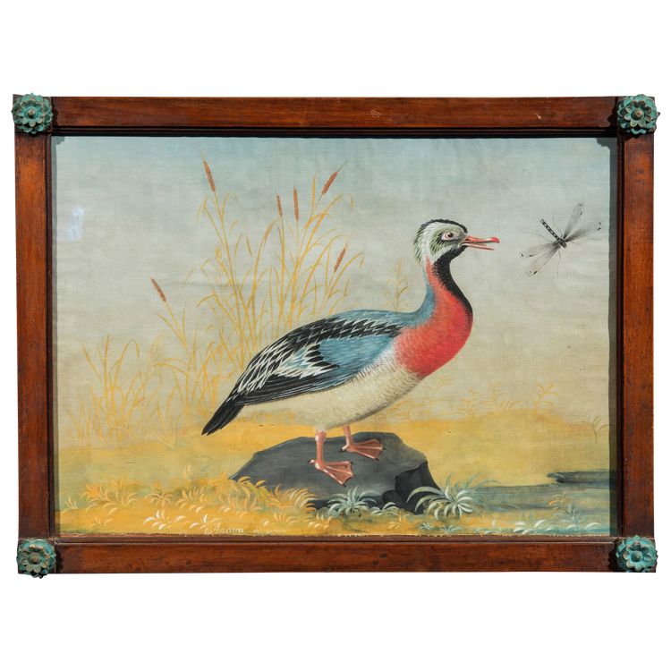 Peintre lombard de la fin du XVIIIe/début du XIXe siècle (style Raineri) "Frégate avec Libellule"